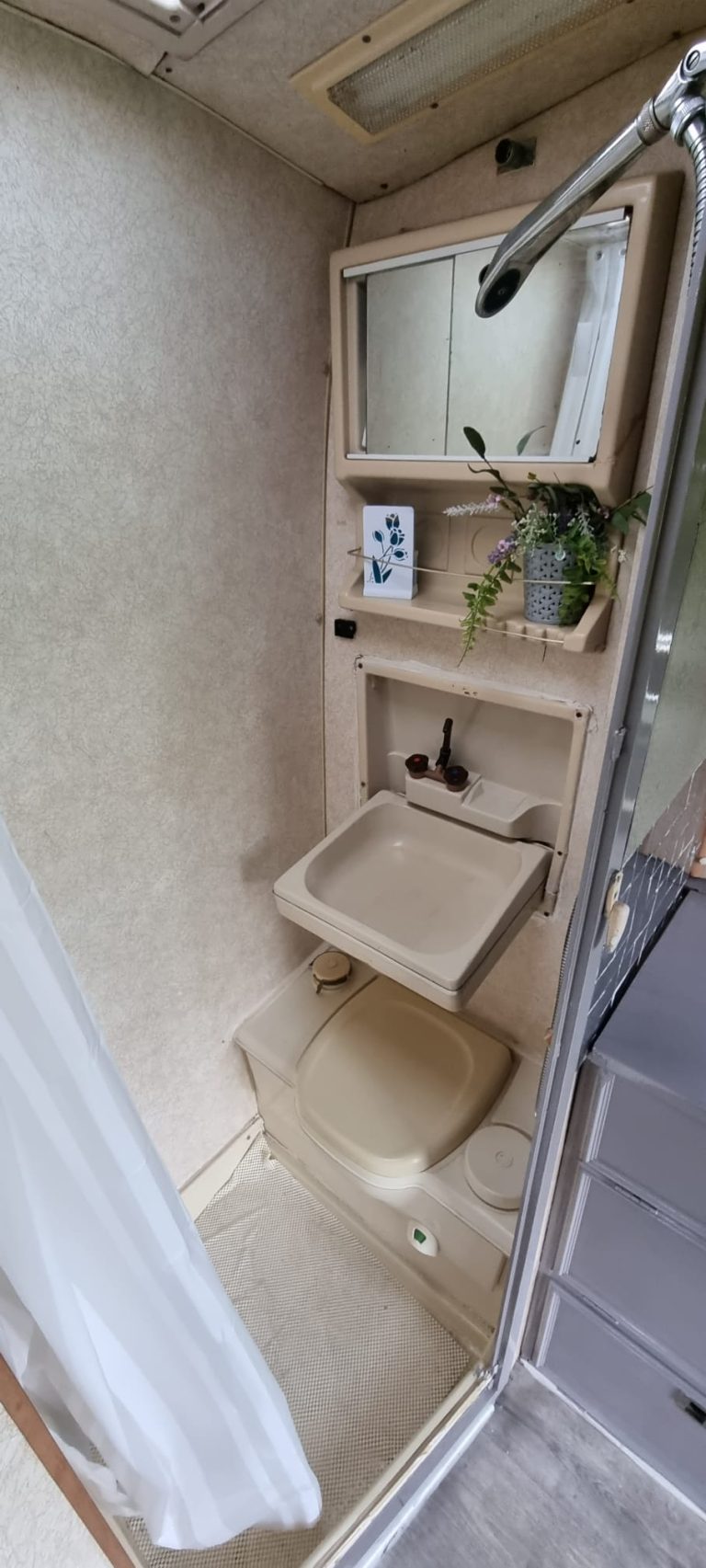 Avondale bathroom with toilet, washbasin and shower
