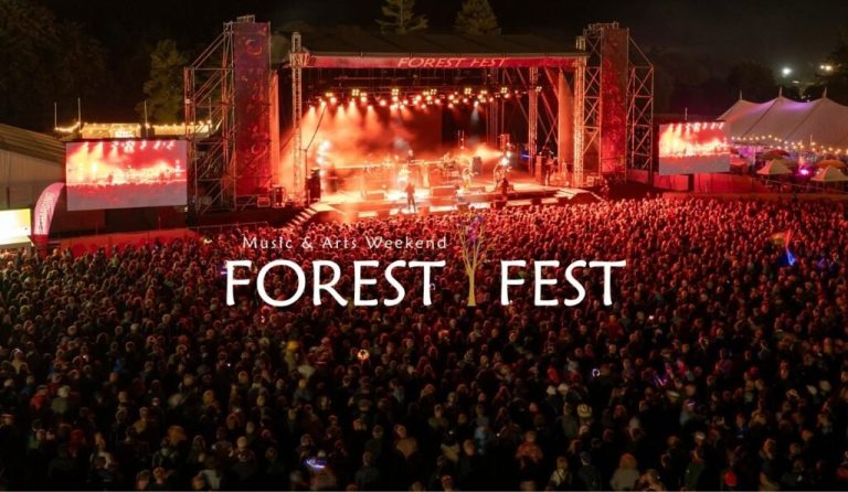 Forest Fest 2027: A Laois Festival Weekend by Campervan event artwork