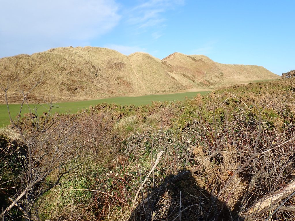 Royal County Down golf course greens among dunes, Newcastle